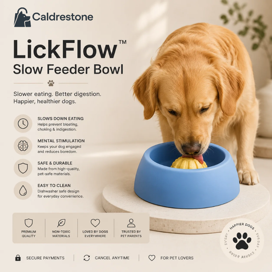 Wondimagegne LickFlow™ VIP