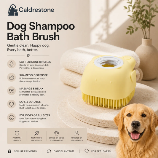 Wondimagegne Shampoo Bath Brush